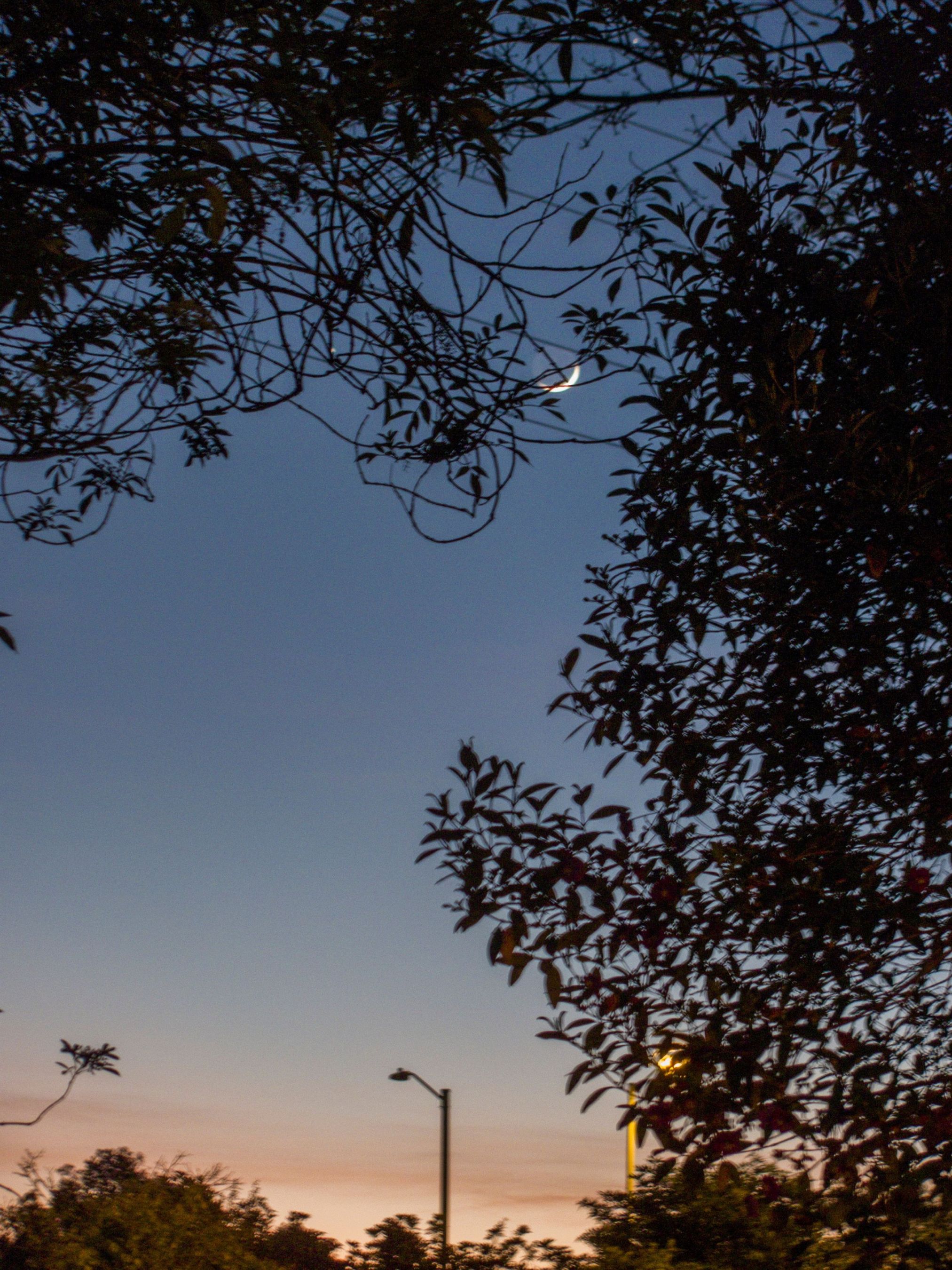 Luna saturno y mercurio (2)